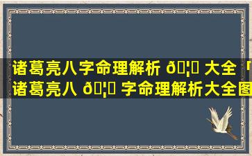 诸葛亮八字命理解析 🦄 大全「诸葛亮八 🦅 字命理解析大全图片」